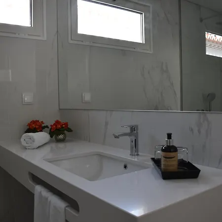 Vicente's Lob Câmara de Lobos